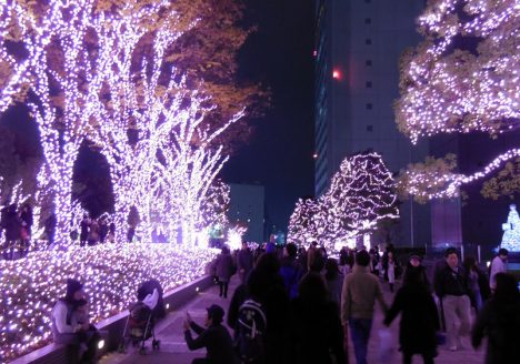 イルミネーション１